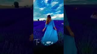 #viralvideo #views #love