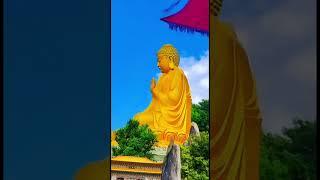 Namo Amitabha Buddha, 南无阿弥陀佛  #buddha #buddhism #guru  #meditation #motivation  #monk #namo