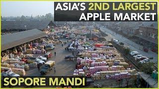 Sopore Mandi - Asia's 2nd Largest Apple Market