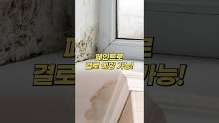 페인트칠로 결로와 곰팡이를 예방할 수 있다고?