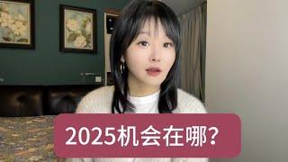 2025机会在哪里？ #中国经济八问#一口气看懂经济学