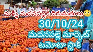 30-10-24 Madanapalle Tomato Market price Today || Today Tomato Market Rate in Madanapalle #today