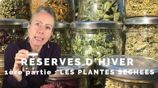 Réserves d'hiver de plantes sauvages comestibles - 1ère partie : les plantes séchées