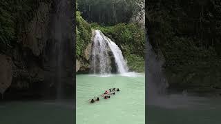 Kawasan Falls in 2024 #adventure #lovephilippines #cebu #shorts