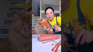 как употребить морковку на 100%? #рецепты #еда #выпечка