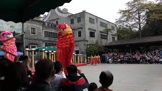 南狮 • Foshan Chinese Southern Lion Dance