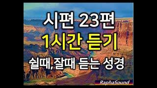 시편 23편 1시간 듣기. "여호와는 나의 목자시니" 시편듣기.▶쉴때,잠잘때듣는 성경.성경asmr.잠자며듣는 성경,시편묵상,시편낭독. 시편 시리즈