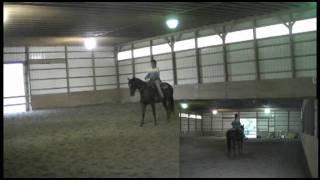 AQHA Cutting Prospect