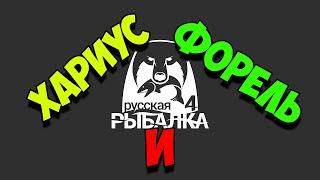 Русская Рыбалка 4 Ловим ФОРЕЛЬ и ХАРИУСА!  Semenov Hunter