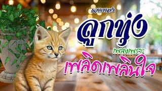 ลูกทุ่ง เพลงเพราะ เพลิดเพลินใจ  #รวมเพลงลูกทุ่งฟังเพราะ