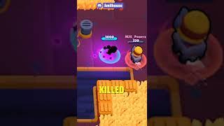 TARA PET GOES ON INSANE KILLSTREAK!?