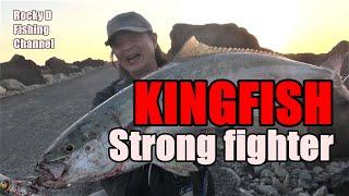 Kingfish Shore fishing Rocky D Vol.166