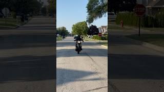 KP Mini 150 wheelie 2