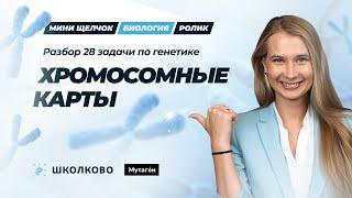 Разбор 28 задачи по генетике: Хромосомные карты