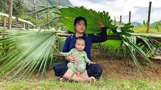 Single Mother Gardening and Growing Vegetables to Stabilize Her Life After Escaping Her Ex-Husband