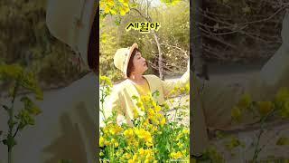 #세월아 #장윤정 #김영희우리옷tv