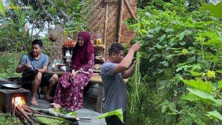 spesial di masakin suami, panen kacang panjang, lanjut masak tumis , telur dadar,tempe goreng