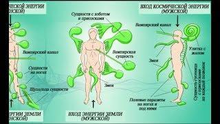 Энергетические паразиты вокруг нас. Вот как защитить себя о них