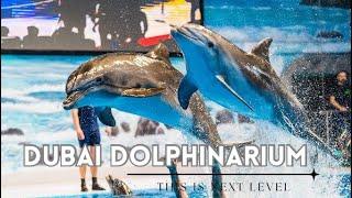 Dubai Dolphinarium | Dolphin Show & Seal Show | Full Show at Dolphinarium , Creek Park | Dubai , UAE