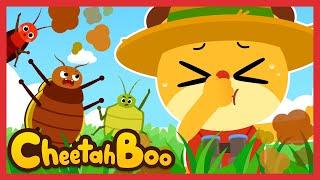 Guess which bugs are stinky | Insect for kids | + Compilation | Kids song | #Cheetahboo