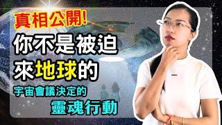 【我們為什麼會來地球？】揭開「一切都不是偶然」的靈魂真相｜光與愛 Lavi Ko