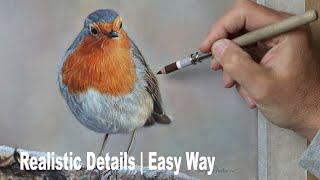 How to draw / paint a realistic  Robin | Tutorial ~  Pastel painting