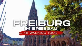 Freiburg im Breisgau, Germany 4K Walking Tour | Jewel of the Black Forest