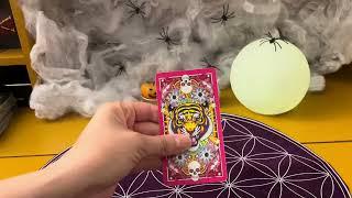 CAPRICORNE NOVEMBRE 2024. « Une proposition dans l’air?? ». Le tarot de Mina