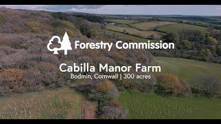 Woodland creation case study: Cabilla Manor Farm