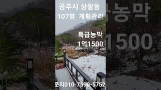 충남공주시 상왕동 계획관리 107평 토지와 농막 1억1500