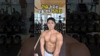 가슴 커지는 운동 루틴 5가지