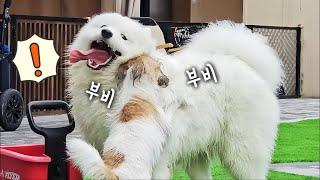 집착이 너무 심해서 고민이야..