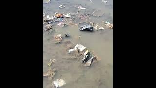 Plastic leaching into water bodies | Save Water bodies & Land from Plastic pollution.