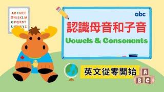 【英文從零開始】認識母音和子音｜Vowels & Consonants｜Boro English