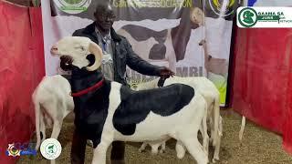 GUBA International Trade Fair Livestock Improvement with live coverage by SAAMA SA JURR NETWORK