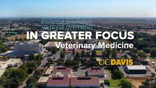 Advancing Cancer Research for Animals and Humans | UC Davis School of Veterinary Medicine