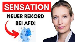 AfD Mitgliederzahl wächst um 70%! CDU stürzt komplett ab!