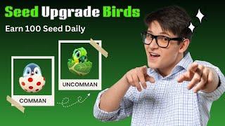  How to upgrade birds in Seed Mining app for free | SEED App New Update