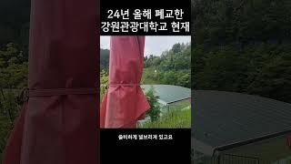 2024년 올해 폐교된 강원관광대학교의 현재 모습 #철대리