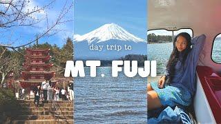 A day trip around Mt. Fuji! | Oishi Park, Lake Yamanaka, and Chureito Pagoda