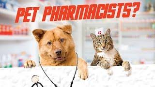 Pet Pharmacists and How Human Drugs Can Harm Your Pets