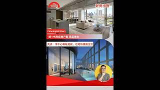 市中心稀缺地段 近地铁生活好盘 #新加坡 #新加坡房产 #新加坡好好过