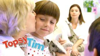 Lovely Mossy & All Change! | Topsy & Tim Double episode 309-310 | HD Full Episodes | Shows for Kids