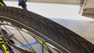 Schwalbe Marathon Plus tires are basically indestructible!