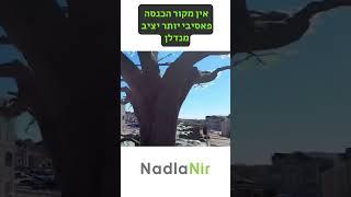 הזדמנות השקעה עסקת מולטי פמילי מניבה בארצות הברית עם שוכרים משלמים תפוסה גבוהה