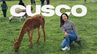 Cusco, Peru (Vlog) — "The Rome of America" (Plaza de Armas, Cristo Blanco, Saqsaywaman)