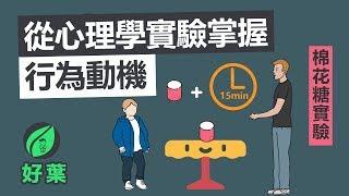 【好葉】5個實用心理學技巧 | 這些心理學實驗告訴你這樣做事最有效