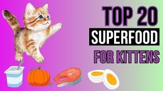 Top 20 Superfoods for Kittens- for HAPPY & HEALTY kitten