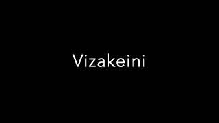 Vizakeini