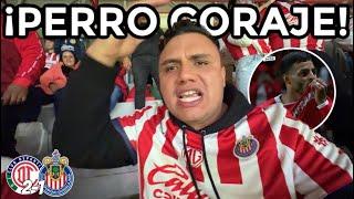 TOLUCA vs CHIVAS 2-1 ¡QUE PERRO CORAJE! *DE ÚLTIMO MINUTO* Reacción Desde Estadio Nemesio Diez